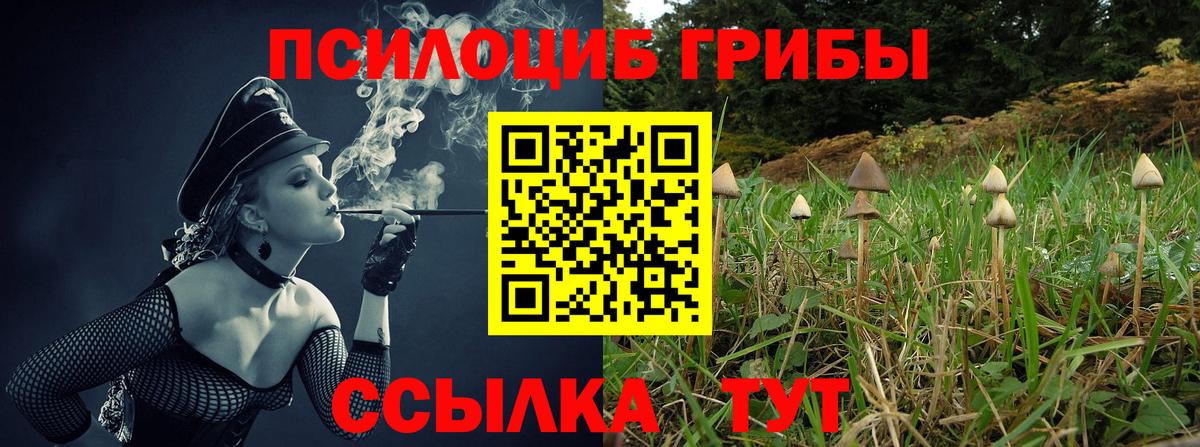Псилоцибиновые грибы Cubensis Шали